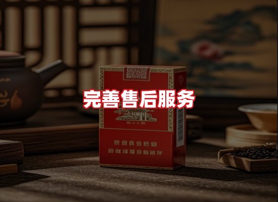 专业团队